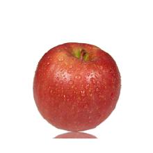 食用農(nóng)產(chǎn)品市場全景 從蘋果種植到批發(fā)終端的產(chǎn)業(yè)鏈剖析