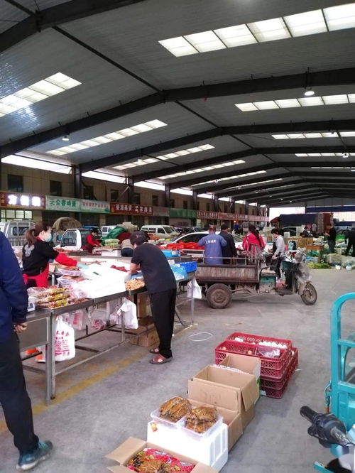 中貿(mào)農(nóng)產(chǎn)品綜合批發(fā)市場(chǎng) 從基地到市場(chǎng)，蔬菜區(qū)一站式采購(gòu)與每日參考價(jià)解析